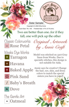 Load image into Gallery viewer, Sister Sampler