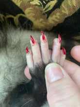 Load image into Gallery viewer, I Love my Cat