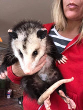 Load image into Gallery viewer, I Love my Cat