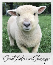 Load image into Gallery viewer, Southdown Sampler
